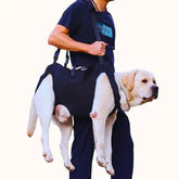 Carregador De Cachorro Arnês - Carregador De Cachorro Arnês - P - Polideia